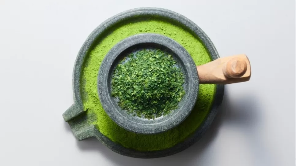 Matcha Ekstraktının Yağ Dengesini Destekleyen Bitkisel Bir İçerik Olarak Değerlendirilmesi